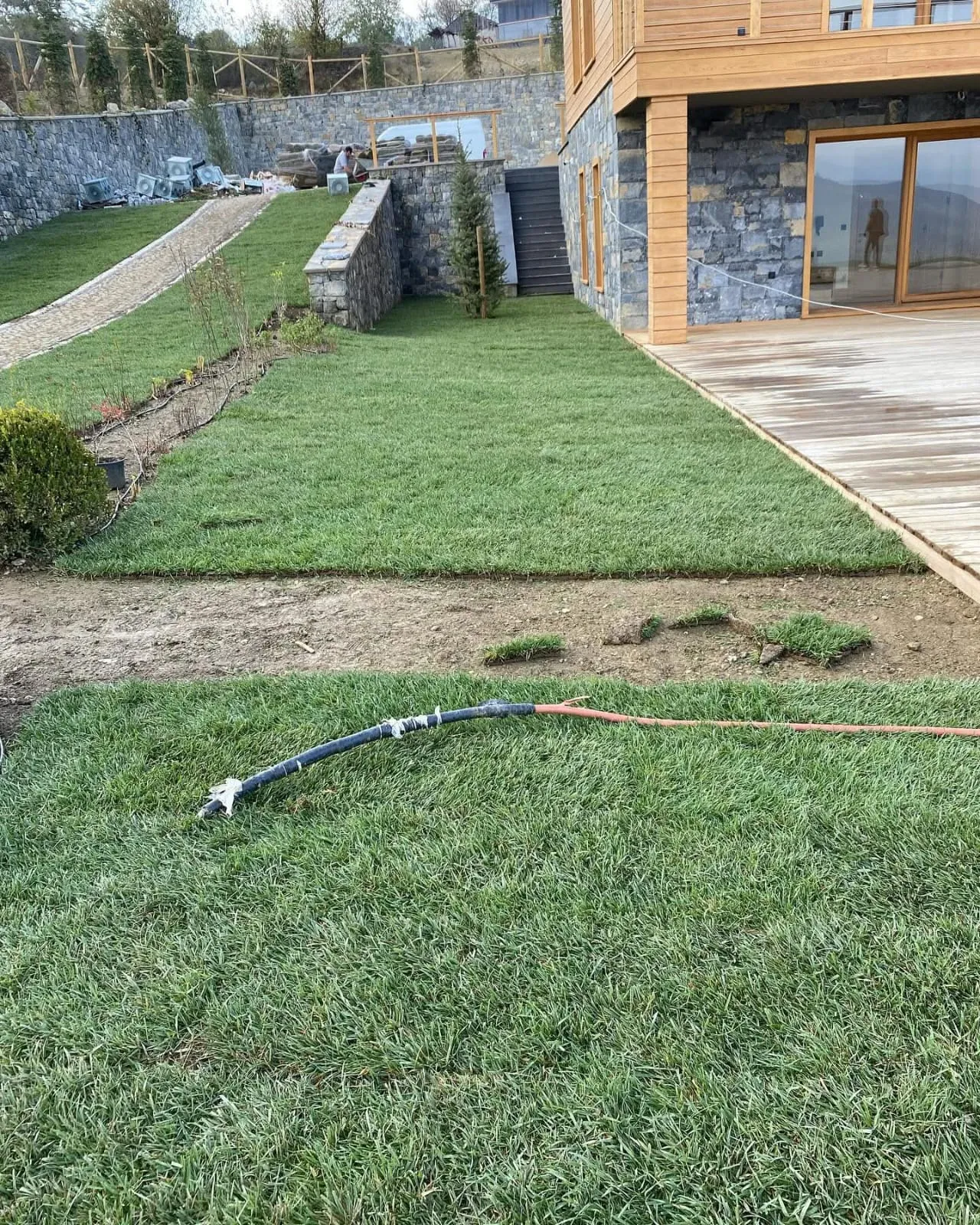 Rulo çim uygulaması sonrası yemyeşil bahçe peyzajı - Erdem Peyzaj